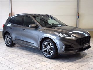 FORD Kuga 1.5 ecoblue ST-Line Design 2wd 120cv 2