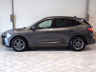 FORD Kuga 1.5 ecoblue ST-Line Design 2wd 120cv 7